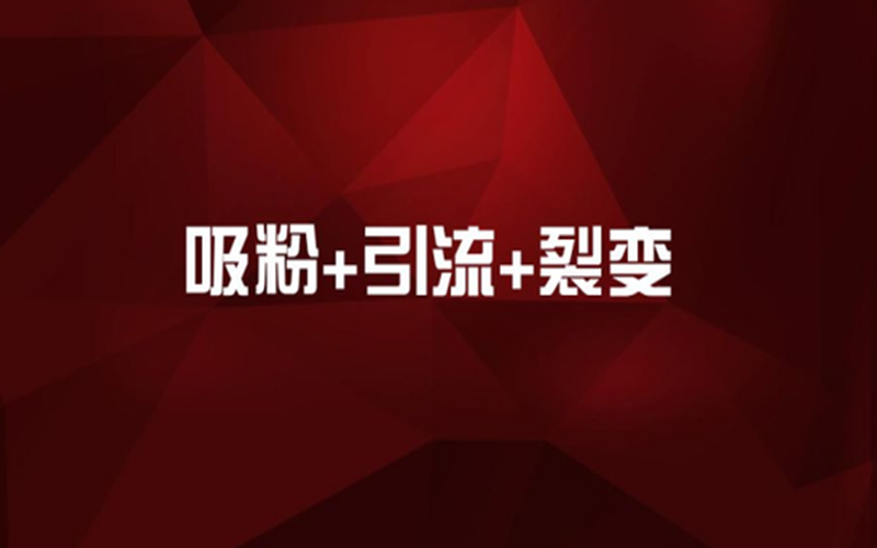 加入抖商创业社群，玩“赚”2019！